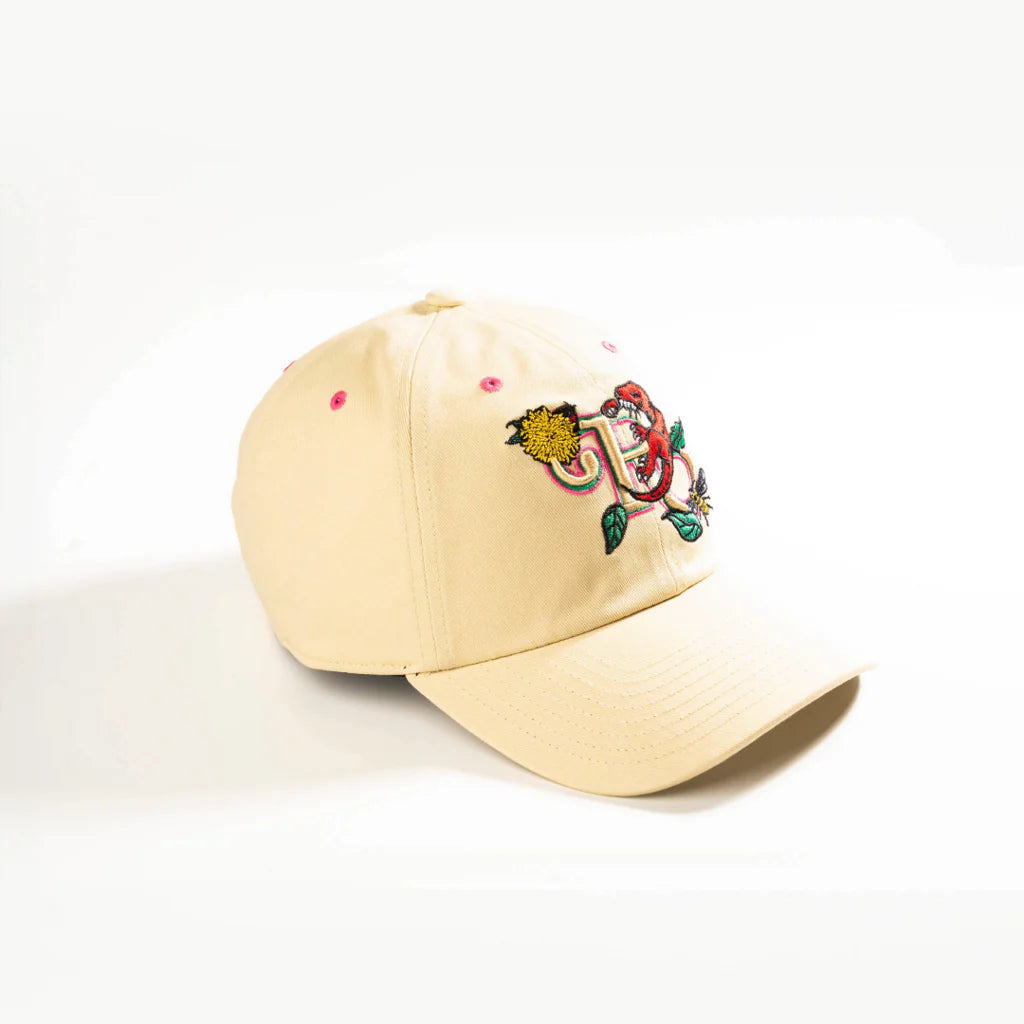 Raptors dad cap sales