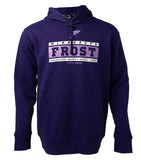 Men's Minnesota Fleet PWHL Bauer Unisex Purple Core Ultimate Pullover Hoodie