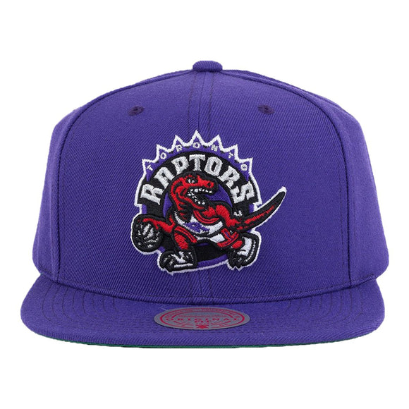 Toronto Raptors Mitchell & Ness Hardwood Classics Team Ground 2.0 Snapback Hat - Purple