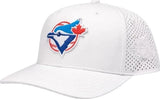 Men's Toronto Blue Jays MLB Mitchell & Ness Cooperstown Mesh Back Pro-Crown Fit Hat - White