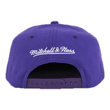 Toronto Raptors Mitchell & Ness Hardwood Classics Team Ground 2.0 Snapback Hat - Purple