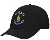 PWHL Women's Hockey League Official Bauer Toronto Sceptres Performance Snapback Hat