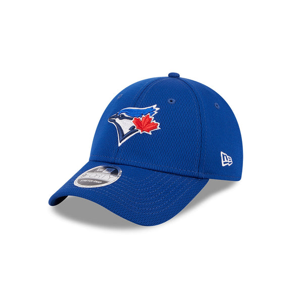 Men's New Era Evergreen Royal Blue Toronto Blue Jays 9FORTY Stretch-Snapback Hat