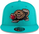 Men's New Era 9FIFTY NBA Memphis Grizzlies Classic Edition Birdseye Teal Snapback Hat