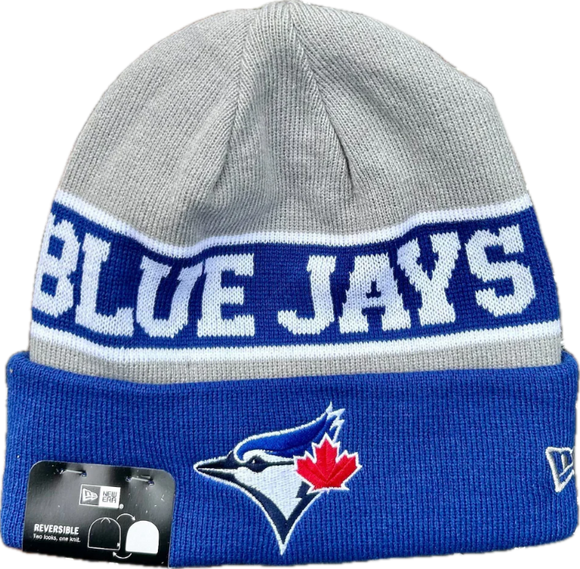 帽子 jichoi AW23 BEANIE BAG (BLUE GREY) Youth Toronto Blue Jays New Era Royal/Grey Reversible Sport Cuffed