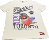 Men's Toronto Raptors New Era Hardwood Classic Short Sleeves White T-Shirt