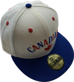 Vancouver Canadians MiLB New Era 59fifty Vintage Retro Fitted Custom Chrome Hat Cap