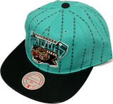 Men's Vancouver Grizzlies Mitchell & Ness NBA Dead Stock Teal Snapback Hat Cap