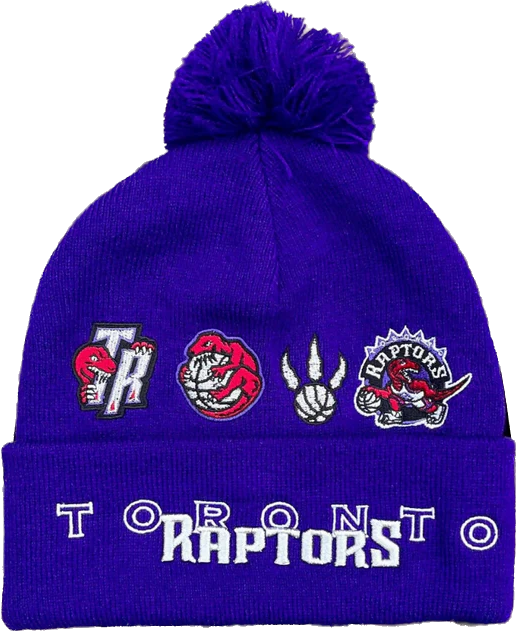 Men's Mitchell Ness Purple Toronto Raptors Tokens Logo History