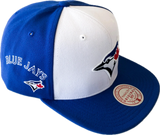 Men's Toronto Blue Jays MLB Mitchell & Ness Two Tone Evergreen Snapback Hat