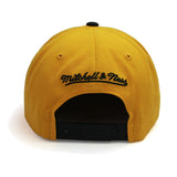 Men's Toronto Raptors Gym Stallion Snapback Hat by Mitchell & Ness - Mustard