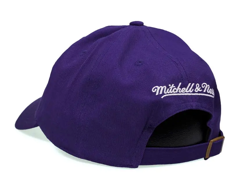 Raptors strapback on sale