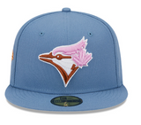 Toronto Blue Jays New Era 1993 World Series Tonal Undervisor 59FIFTY - Fitted Hat - Blue