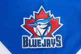 Toronto Blue Jays Pro Standard Men's Retro Classic Fleece Pullover Hoodie - Royal