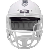 Cincinnati Bengals Riddell 2024 Salute To Service Speed Full Size Helmet NFL Football