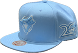 Men's Toronto Blue Jays MLB Mitchell & Ness Basic Blue Gleam Side Patch Snapback Hat