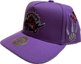 Men's Toronto Raptors NBA Mitchell & Ness Historical Purple Snapback Hat - Pro Pinch