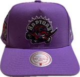 Men's Toronto Raptors NBA Mitchell & Ness Historical Purple Snapback Hat - Pro Pinch