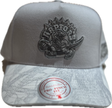 Men's Toronto Raptors NBA Mitchell & Ness Retro Logo White Snapback Hat - Pro Pinch