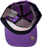 Men's Toronto Raptors NBA Mitchell & Ness Historical Purple Snapback Hat - Pro Pinch