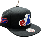 Men's Montreal Expos MLB Mitchell & Ness Playoff Win Day to Day Snapback Hat