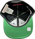 Men's Toronto Raptors NBA Mitchell & Ness Playoff Win Day to Day Snapback Hat