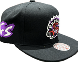Men's Toronto Raptors NBA Mitchell & Ness Playoff Win Day to Day Snapback Hat