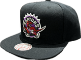 Men's Toronto Raptors NBA Mitchell & Ness Playoff Win Day to Day Snapback Hat