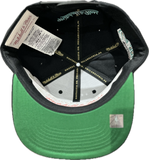 Men's Vancouver Grizzlies NBA Mitchell & Ness Playoff Win Day to Day Snapback Hat