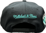 Men's Vancouver Grizzlies NBA Mitchell & Ness Playoff Win Day to Day Snapback Hat