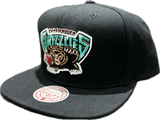 Men's Vancouver Grizzlies NBA Mitchell & Ness Playoff Win Day to Day Snapback Hat