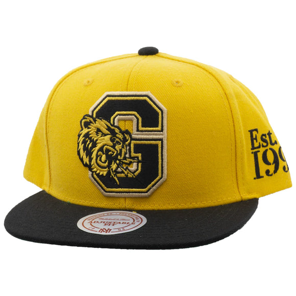 Men's Vancouver Grizzlies Gym Stallion Snapback Hat by Mitchell & Ness - Mustard