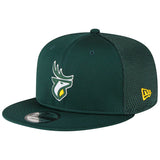 Edmonton Elks CFL Football New Era Sideline 9FIFTY Snapback Hat - Green