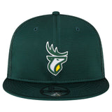 Edmonton Elks CFL Football New Era Sideline 9FIFTY Snapback Hat - Green