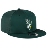 Edmonton Elks CFL Football New Era Sideline 9FIFTY Snapback Hat - Green