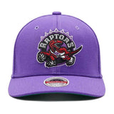 Men's Toronto Raptors Mitchell & Ness Team Ground 2.0 NBA Stretch Snapback Purple Hat