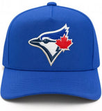 Men's Mitchell & Ness MLB Toronto Blue Jays 2025 World Series Adjustable A-Frame Snapback Hat - Royal Blue