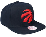 Men's Toronto Raptors Mitchell & Ness Team Ground 2.0 NBA Basketball Snapback Cap
