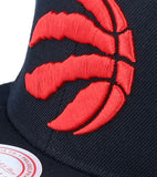 Men's Toronto Raptors Mitchell & Ness Team Ground 2.0 NBA Basketball Snapback Cap