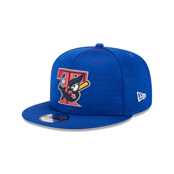 Toronto Blue Jays New Era 2023 Clubhouse 9Fifty Adjustable Snapback Hat - Alternate