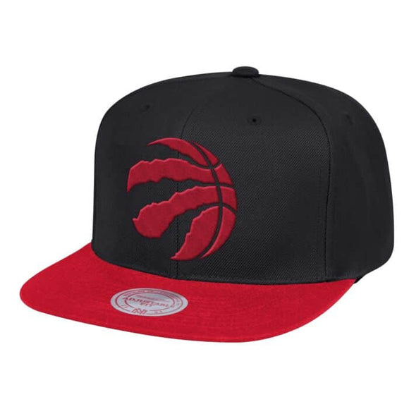 Men's Toronto Raptors Mitchell & Ness Wool 2 Tone NBA Basketball Snapback Cap
