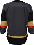 Vegas Golden Knights Gray Premier Youth Blank Hockey Jersey - Multiple Sizes