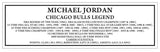 Michael Jordan Chicago Bulls AIR JORDAN Spotlight Picture 25x29 Framed with Pins and Plate