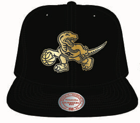 Toronto Raptors Mitchell Ness Black Gold All Over Retro Logo