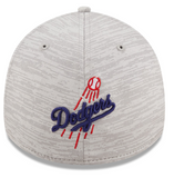 New Era Men's MLB Los Angeles Dodgers Distinct 39THIRTY Flex Fit Hat