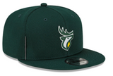 Edmonton Elks CFL Football New Era Sideline 9Fifty Green Snapback Cap Hat
