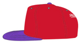Toronto Raptors NBA Basketball Mitchell & Ness Split Crown Hardwood Classic Snapback Cap - Purple
