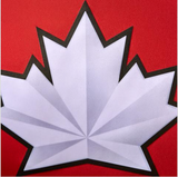 2018 Team Canada Nike Hockey Olympic Red Replica Jersey - Men's - Bleacher Bum Collectibles, Toronto Blue Jays, NHL , MLB, Toronto Maple Leafs, Hat, Cap, Jersey, Hoodie, T Shirt, NFL, NBA, Toronto Raptors