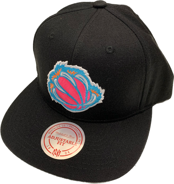 Men’s NBA Vancouver Grizzlies Mitchell & Ness Bubbalicious Snapback Hat – Black