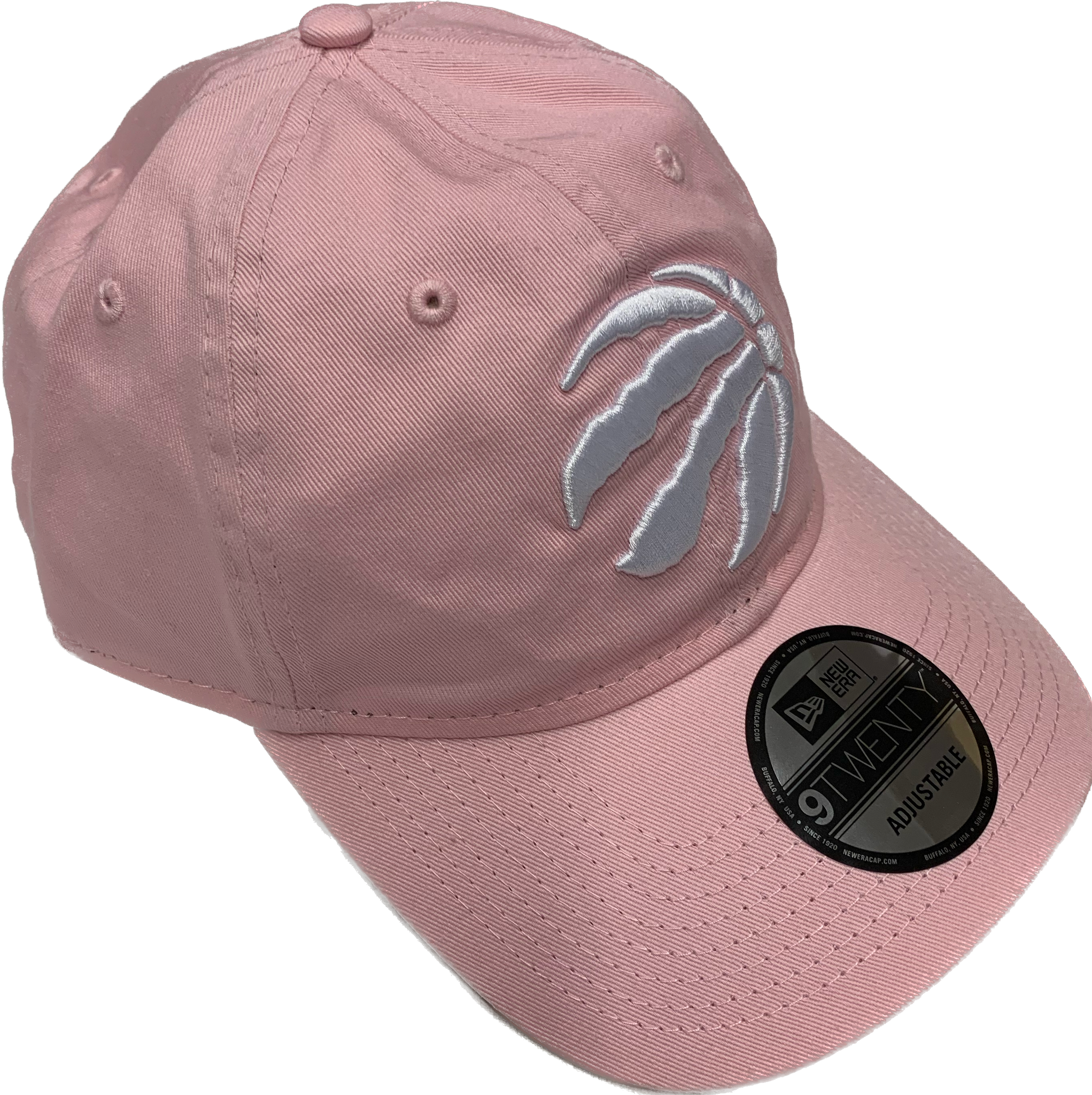 9twenty raptors 2024